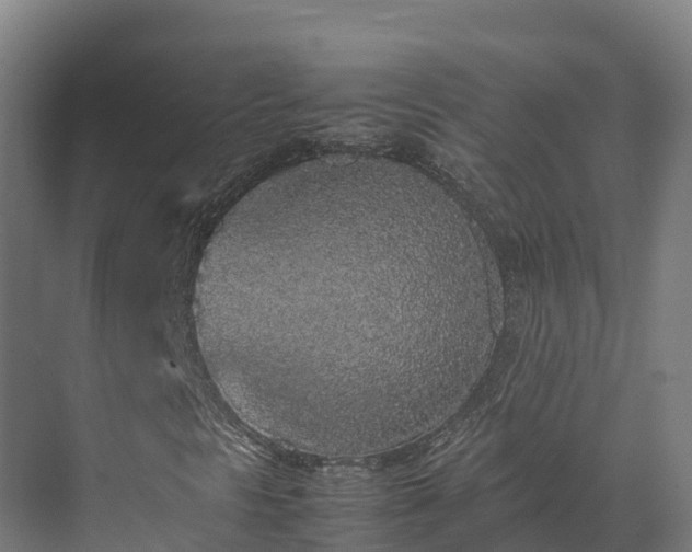 X0000072531297200607211439