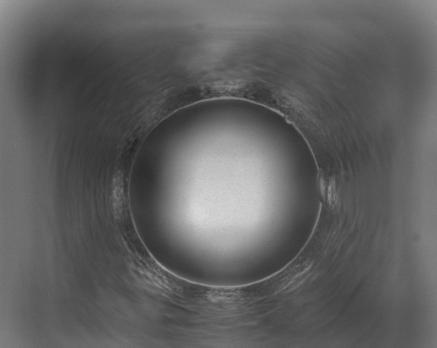 X0000072531299200607211439