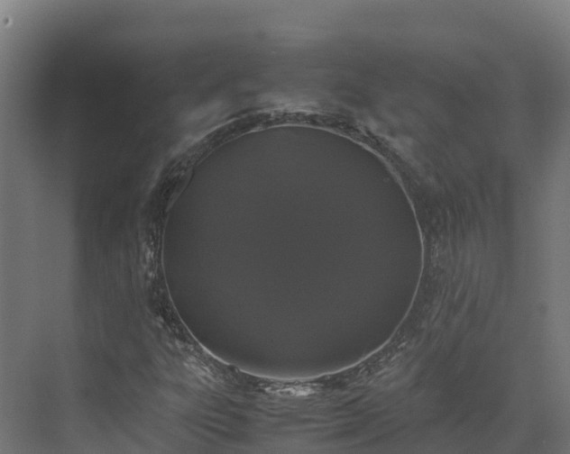 X0000072531303200607211439