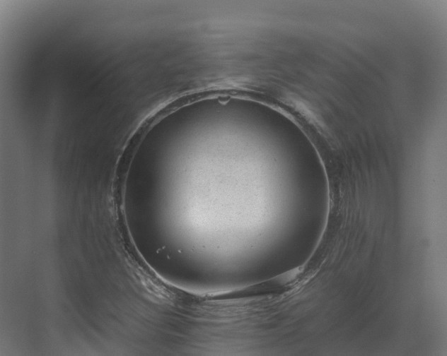 X0000072531308200607211439