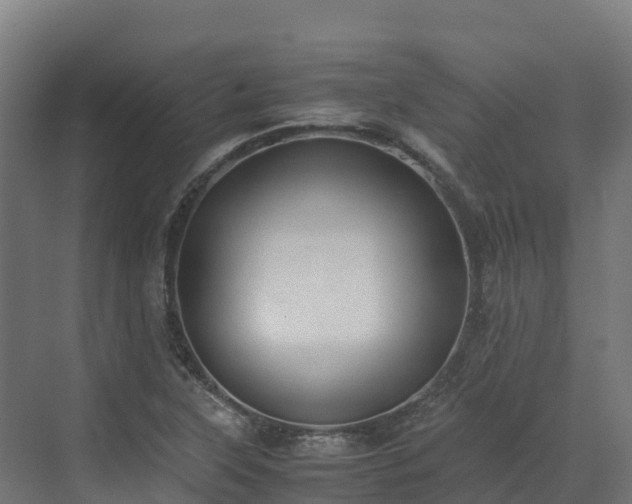 X0000072531315200607211439
