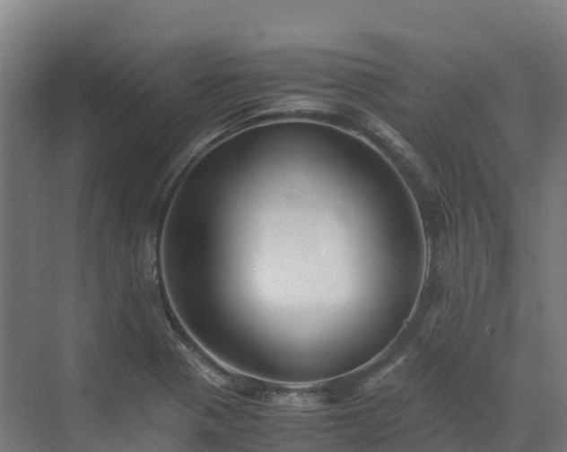 X0000072531321200607211439