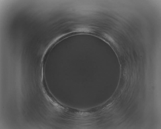 X0000072531323200607211439