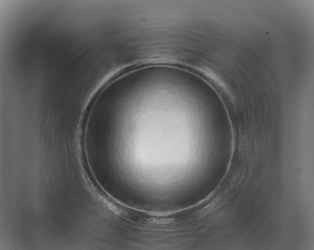 X0000072531325200607211439