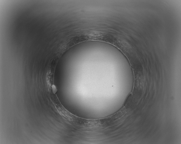 X0000072531346200607211439