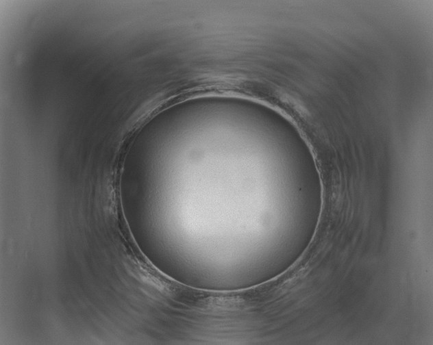 X0000072531354200607211438
