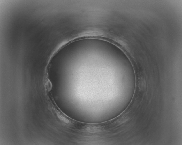 X0000072531366200607211438