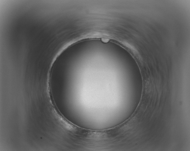 X0000072531374200607211438