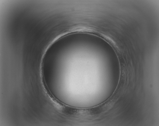 X0000072531375200607211438