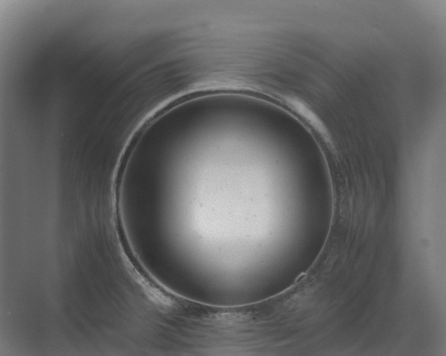X0000072531380200607211438
