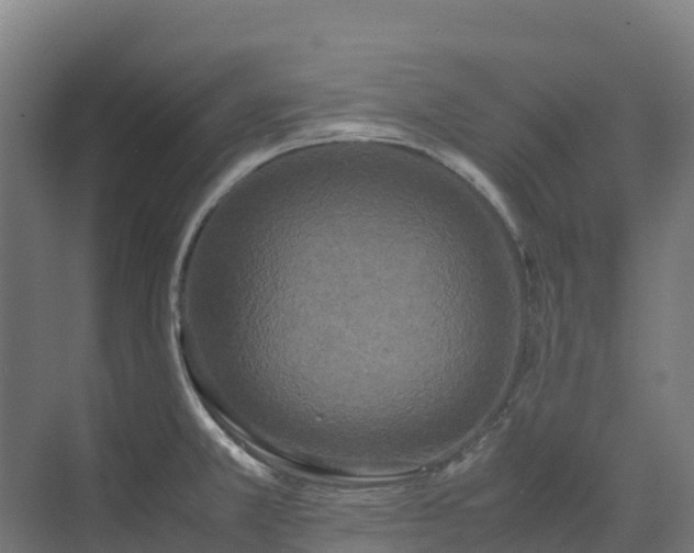 X0000072531381200607211438