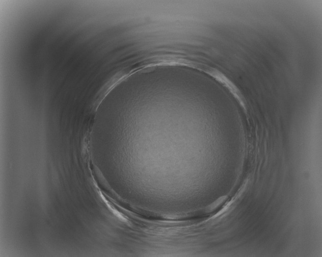 X0000072531385200607211438