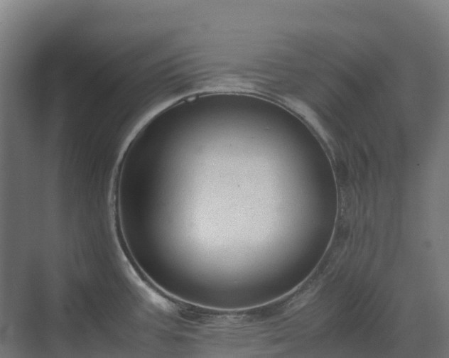 X0000072531387200607211438