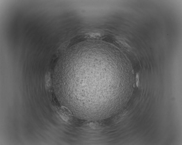 X0000072531395200607211437