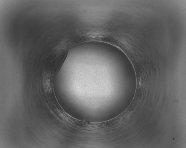 X0000072531396200607211437
