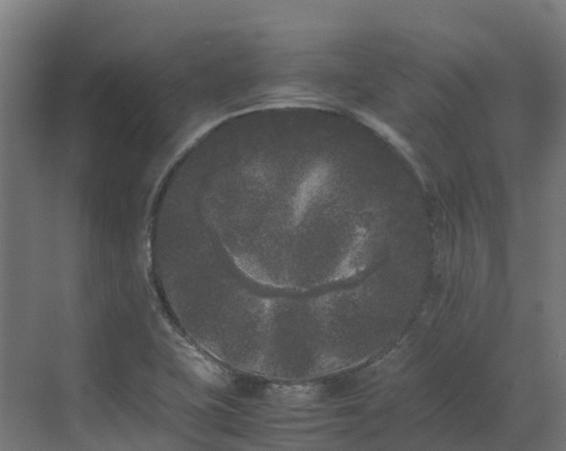X0000072531415200607211437