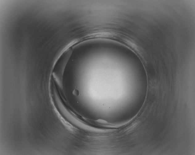 X0000072531426200607211438