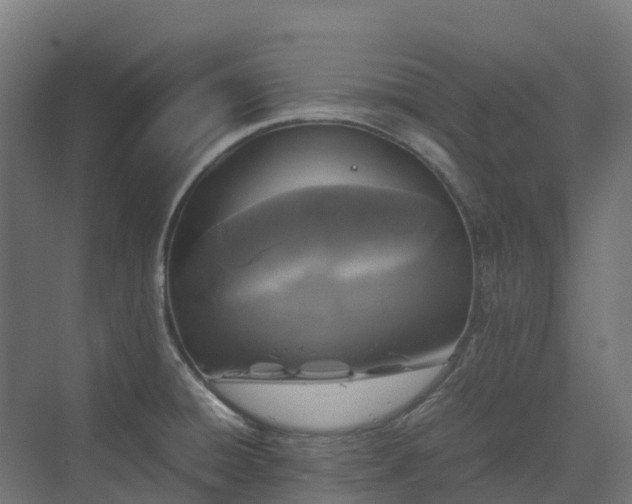 X0000072531428200607211438