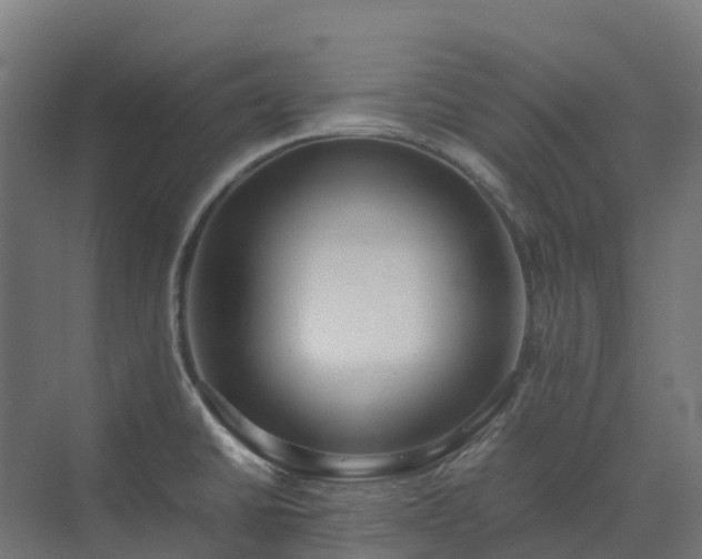 X0000072531430200607211438