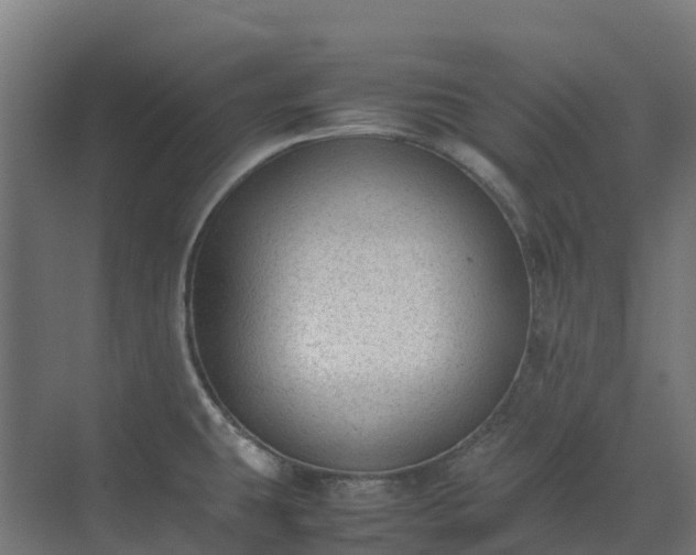 X0000072531431200607211438