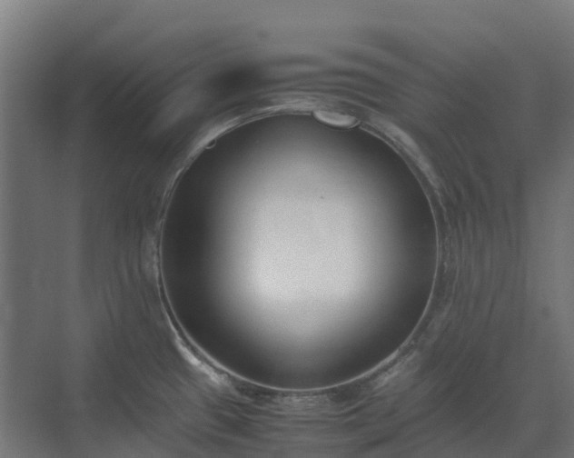 X0000072531433200607211438