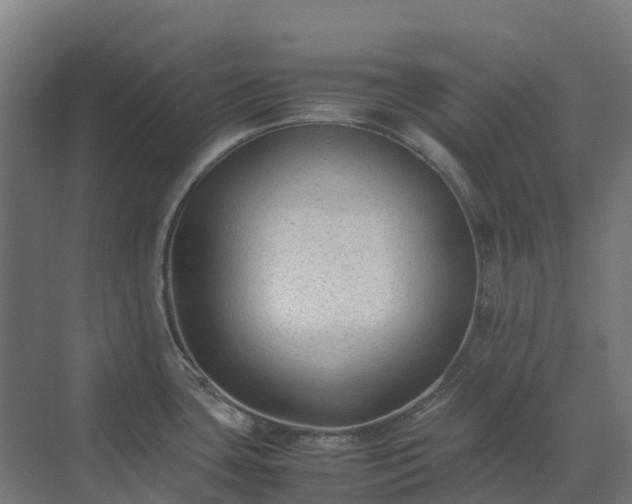 X0000072531435200607211438