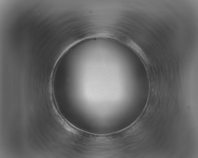 X0000072531436200607211438