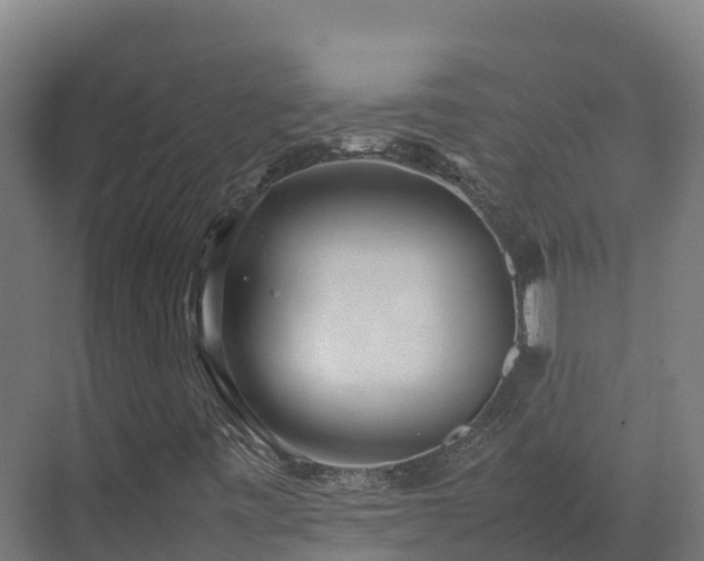 X0000072531443200607211437