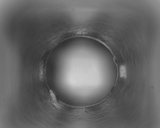 X0000072531444200607211437