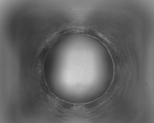 X0000072531447200607211437