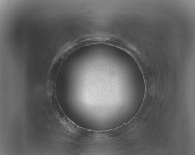 X0000072531448200607211437