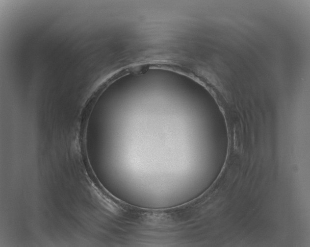 X0000072531452200607211437