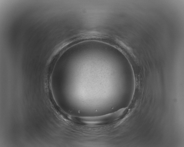 X0000072531453200607211437