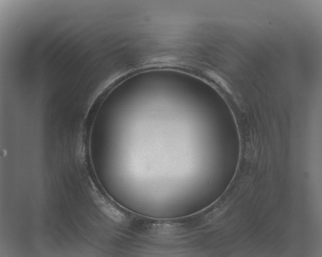 X0000072531458200607211437