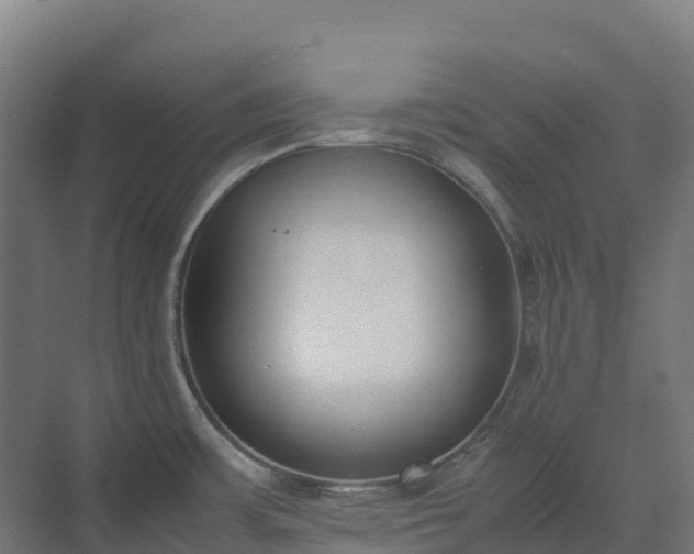 X0000072531483200607211436