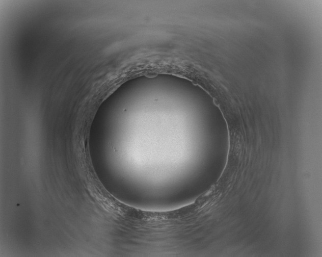 X0000072531489200607211435