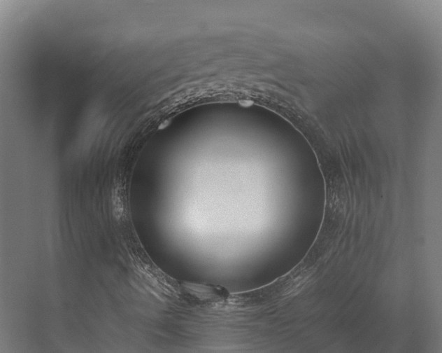 X0000072531490200607211435