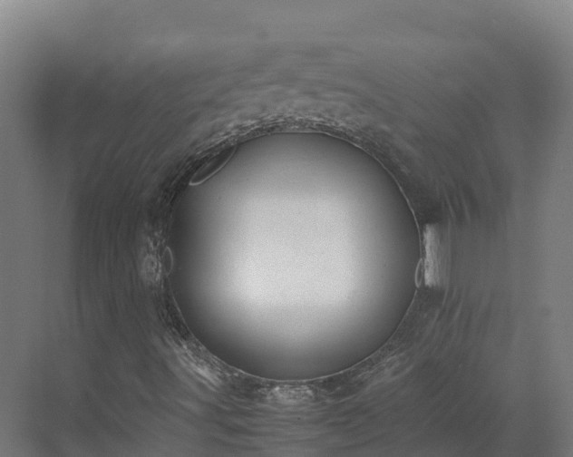 X0000072531491200607211435