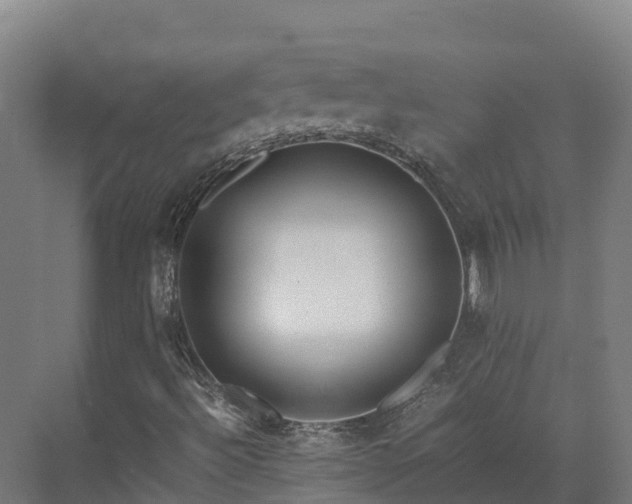 X0000072531492200607211435