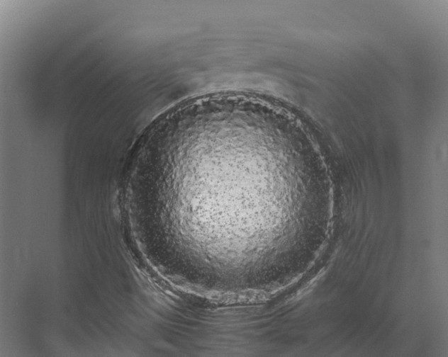X0000072531497200607211435