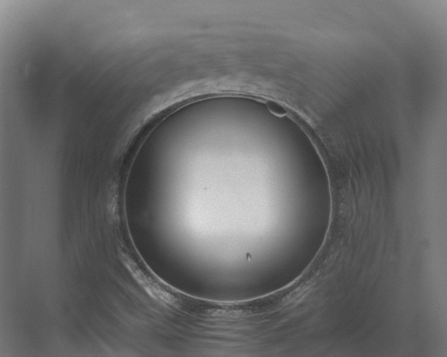 X0000072531499200607211436