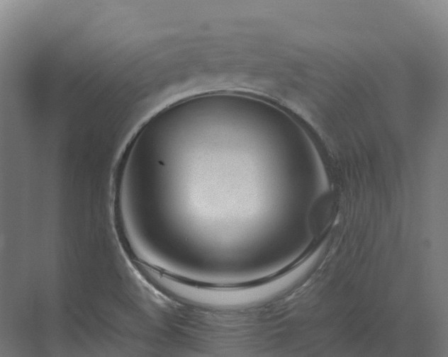 X0000072531508200607211436