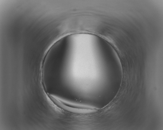 X0000072531524200607211436