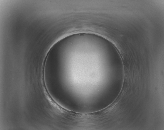 X0000072531534200607211436