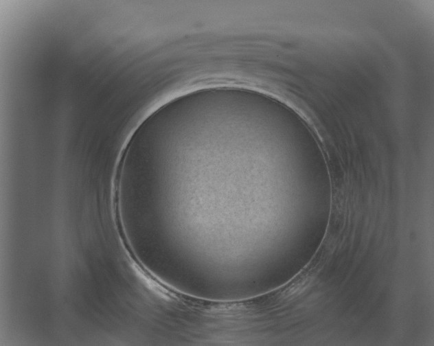 X0000072531535200607211436