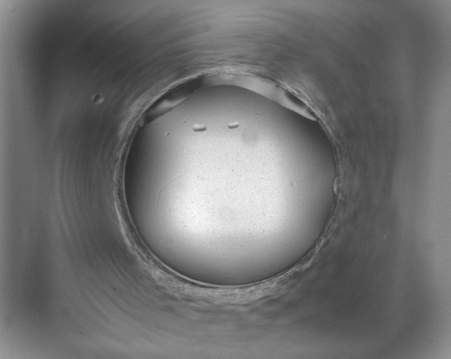 X0000072530001200607290236