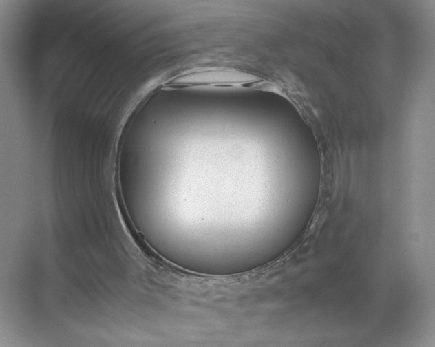 X0000072530003200607290236