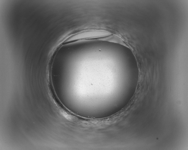 X0000072530005200607290236