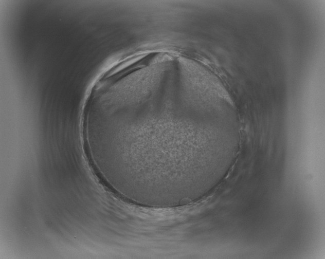 X0000072530006200607290236