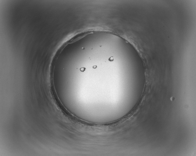 X0000072530008200607290236